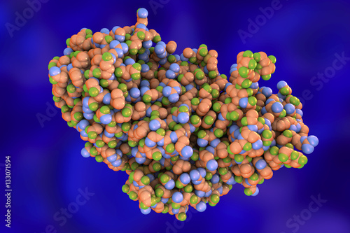 Fotografie, Obraz Molecule of ricin, 3D illustration, a highly toxic protein produced in seeds of