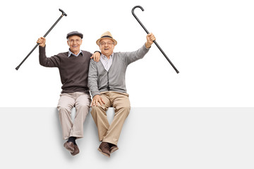 Joyful seniors with walking canes sitting on a panel