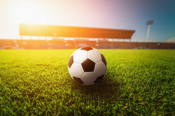 Poster - Green grass in soccer stadium