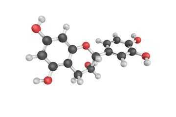 Canvas Print - 3d structure of Epicatechin, a cis configuration of Catechin, a