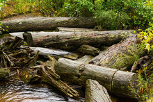 Log Jam In A Small Creek