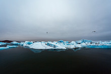 Icebergs And Birds Flying 