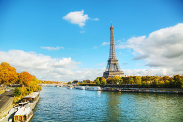 Wall Mural - Cityscape of Paris with the Eiffel tower