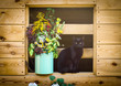 Bouquet of herbs. Black cat.