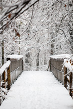 Wooden Foot Bridge Covered In Snow In A Winter Forest