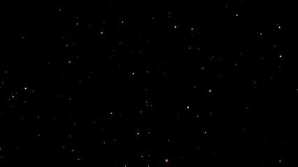 Wall Mural - Fireflies Flying on a Starry Night Background