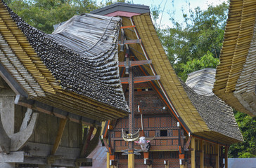 Wall Mural - Tongkonans, casas tradicionales en Tana Toraja, Sulawesi, Indonesia