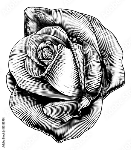 Rose Flower in Engraved Etc...