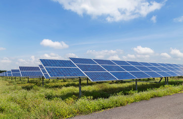 Wall Mural - solar panels photovoltaics in solar power station