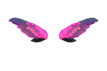 Colorful feathers wings isolated on white background