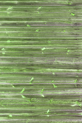 The old green wood texture with natural patterns