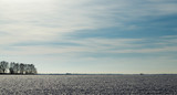 Fototapeta Morze - The gloomy winter sky over the snowy field.