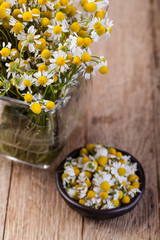 Canvas Print - Medical Chamomile