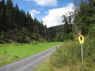 Wall Mural - Naturschutzgebiet Röthengrund