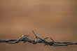 Barbed wire background with earth tones for country, farming or ranching