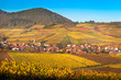 Village with vineyards at autumn, Pfalz, Germany