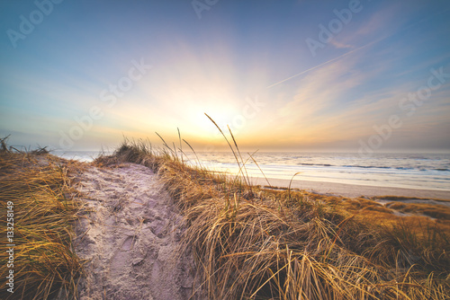 Dune in the evening in Denmark Wallpaper Mural