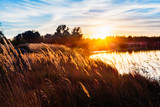 Fototapeta Krajobraz - Landscape with sunset on the river. Meadow grass in the backgrou