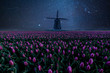 Night Field of Tulips and Windmill
