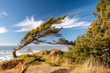 USA Pacific Coast Landscape, Oregon
