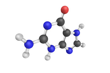 Sticker - Guanine is one of the four main nucleobases found in the nucleic