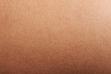 texture of human skin