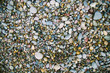 Small sea stones, gravel. Background. Textures