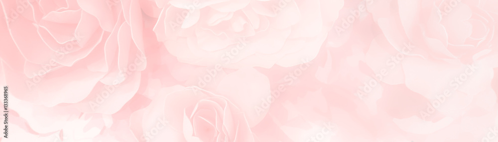 sweet color roses flower in pastel tone with blurred style for background pattern texture - obrazy, fototapety, plakaty 