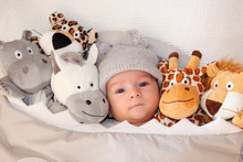 Sweet Little Baby Lying On The Bed Surrounded Of Cute Safari Stuffed Animals