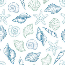 Hand Drawn Vector Illustrations - Seamless Pattern Of Seashells.  Marine Background. Perfect For Invitations, Greeting Cards, Posters, Prints, Banners, Flyers Etc