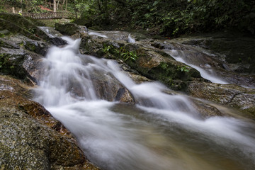  Beautiful in nature, tropical river flow surrounded by green nature