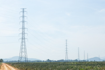 Wall Mural - high voltage pole