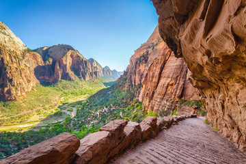 Wall Mural - zion national park, utah, usa