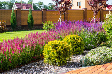 Wall Mural - Beautiful backyard landscape design. View of colorful trees and decorative trimmed bushes and rocks