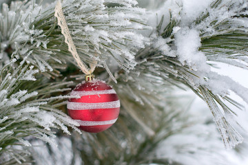 Wall Mural - Striped Christmas balls on the Christmas tree and the snow