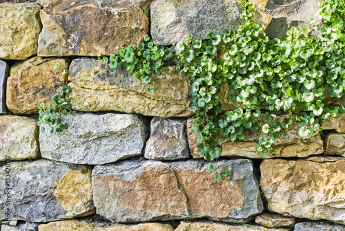 Natursteinmauer Im Garten Gartengestaltung Buy This Stock Photo And Explore Similar Images At Adobe Stock Adobe Stock
