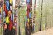 Painted trees on the forest of Oma, Urdaibai Biosphere Reserve, Biscay, Spain.