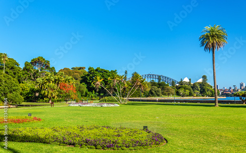 Obraz na płótnie Royal Botanical Garden of Sydney - Australia, Nowa Południowa Walia