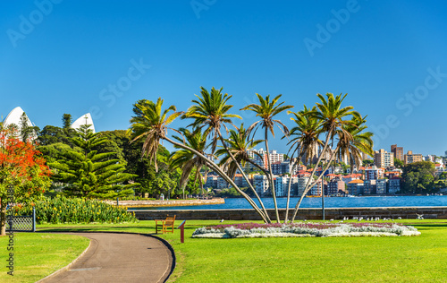 Obraz na płótnie Royal Botanical Garden of Sydney - Australia, Nowa Południowa Walia