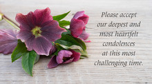 Mourning Card / English Mourning Card With Purple Hellebores 