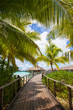 Bora Bora, Walkway to sea and bungalows / villas.  Palm trees framing the picture to luxury thatched rooms