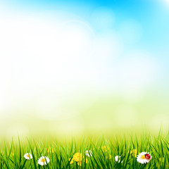 Canvas Print - Spring sunny background