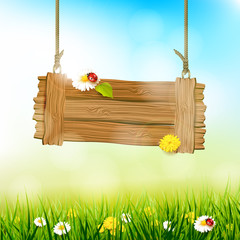 Wall Mural - Spring sunny background