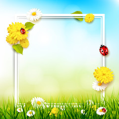 Canvas Print - Spring sunny background