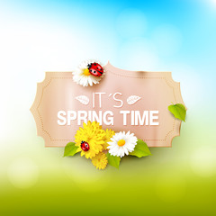 Wall Mural - Spring time background