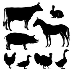 Poster - Farm, farmyard animals vector silhouettes