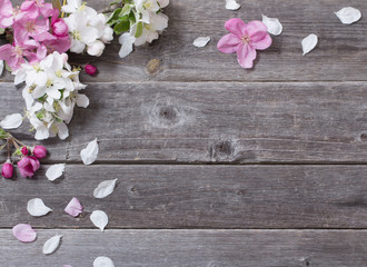  apple flowers on wooden background