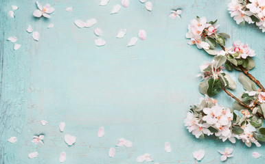 Wall Mural - Spring nature background with lovely blossom in blue  pastel color, top view, banner. Springtime concept