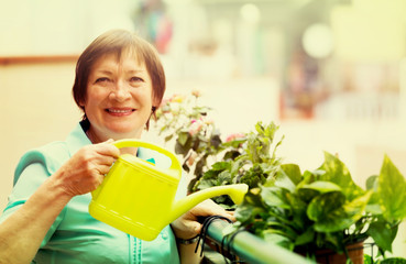 Wall Mural - Portrait of mature housewife watering domestic plants