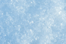 Fresh Fluffy Snow Background. Natural Snowflakes Macro 